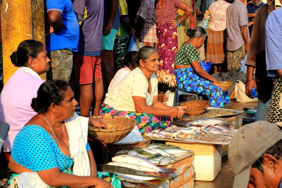 Negombo: Boottocht & vismarkt